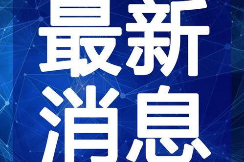 风景哥最新爆料新闻视频,最新爆料新闻视频深度解析