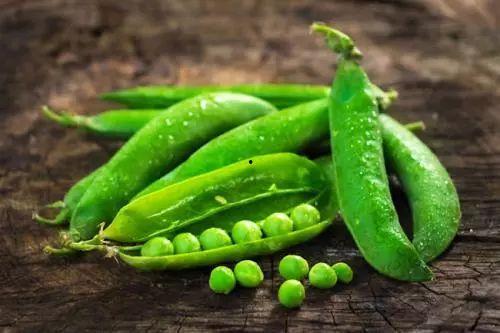 免费瓜吃豆人,揭秘虚拟世界的甜蜜诱惑