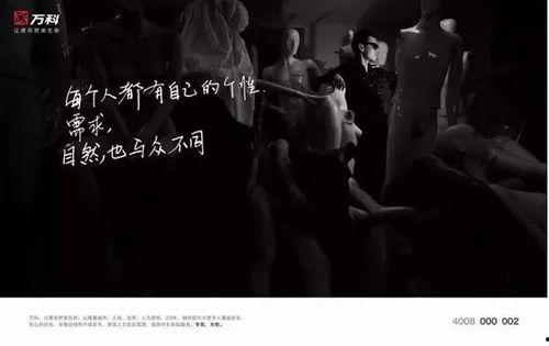 娱乐圈司机爆料文案大全,揭秘明星背后的真实故事