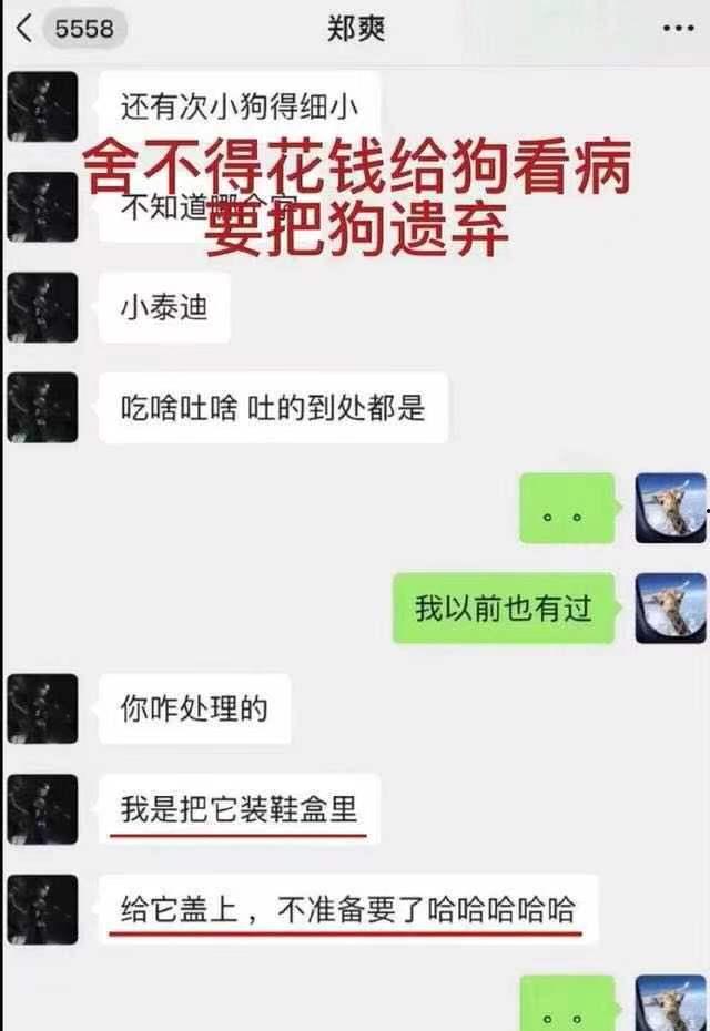张恒爆料记录最新消息,揭秘娱乐圈惊人内幕