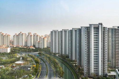 新城最新爆料消息新闻报道