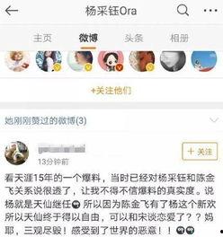 微博爆料娱乐圈,揭秘明星背后的故事与真相