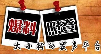 海都新闻爆料,揭秘重大事件背后真相