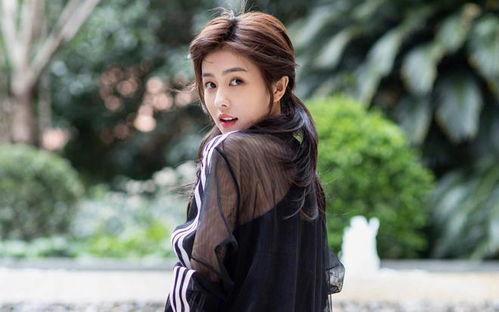 白鹿娱乐爆料,揭秘娱乐圈幕后真相