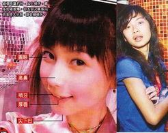 荣大夫爆料舒淇视频播放,网络传播背后的真相