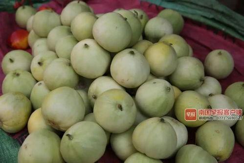 南宁吃瓜网红,南宁网红吃瓜达人带你探秘街头美食江湖