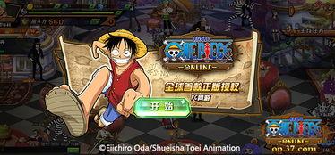 航海王最新伙伴爆料,神秘新伙伴加盟，揭秘海贼王世界的全新篇章